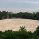 貯金が貯まるラベル（設定・前提）の付け方のハナシ。