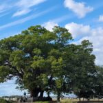 実際にエネルギーを扱うものとして『当たり前』『自信』『確信』を身に着けるとそれは確実に起こる理屈。