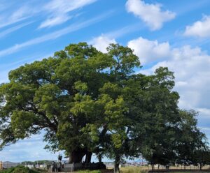 実際にエネルギーを扱うものとして『当たり前』『自信』『確信』を身に着けるとそれは確実に起こる理屈。