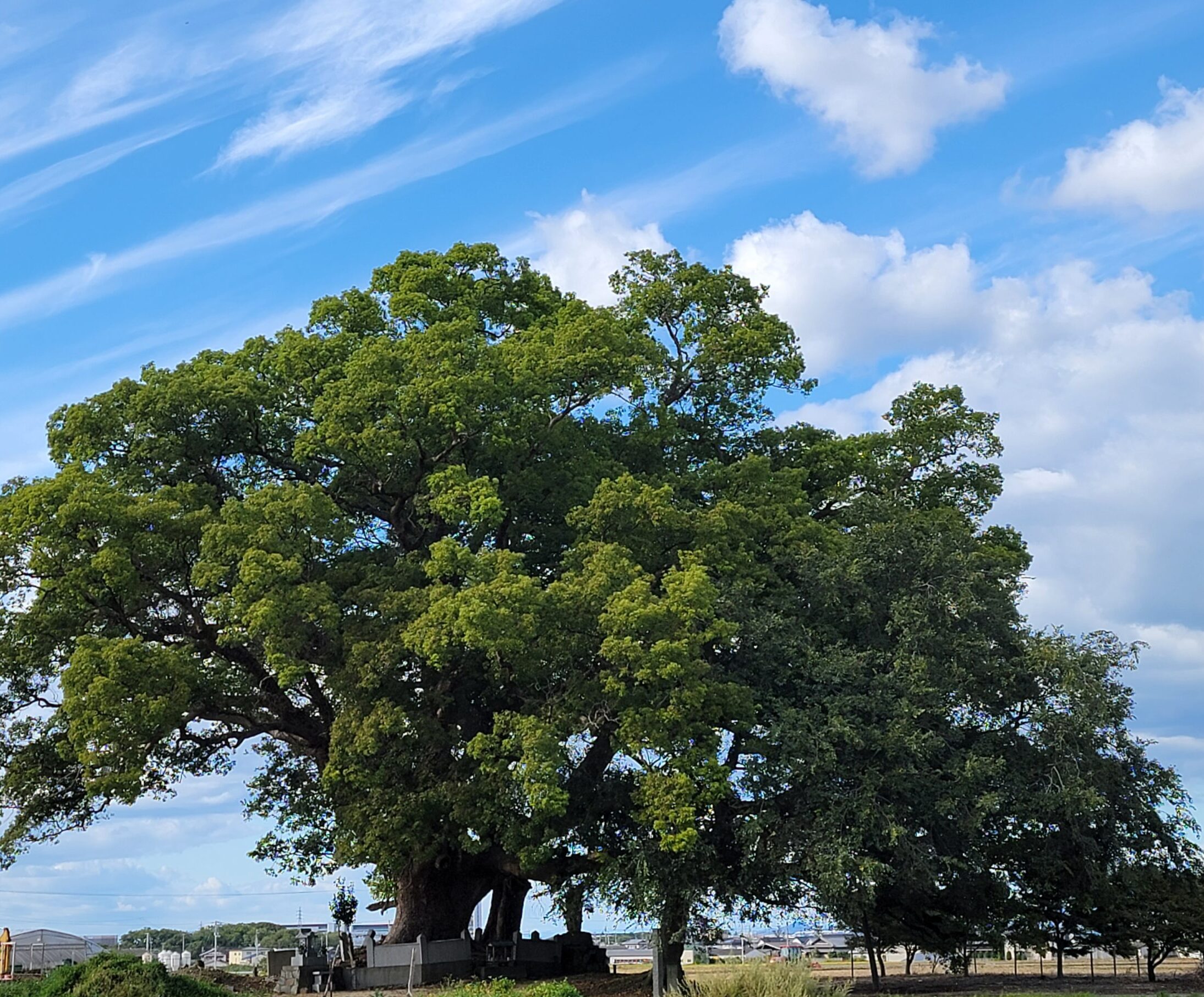 実際にエネルギーを扱うものとして『あたりまえ』『自信』『確信』を身に着けるとそれは確実に起こる理屈。