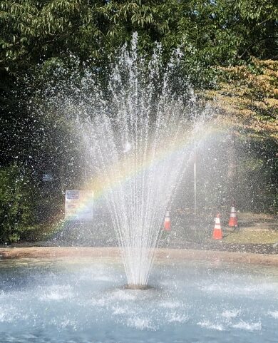※生きるって。自分の源泉からあふれ出る何かを物質化していくこと…な氣がする。
