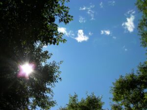 本音ブログだからこそ。私の根底にあるもの。。。