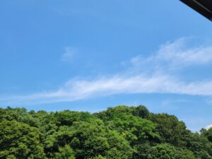 ライオンズゲート後半の存在さんからのメッセージと根底から覆された使命。やる事の方向性。