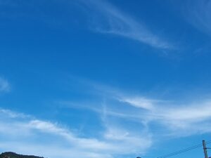ヤバい扉を開いてしまった。本当の自分オープンします。ホントのほんとにやりたいこと。