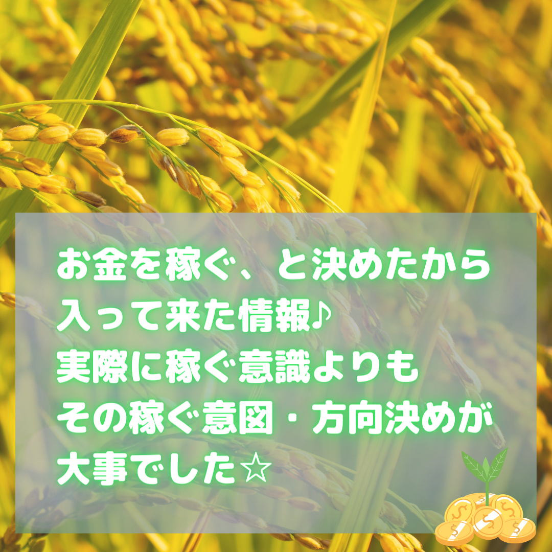 お金を稼ぐ、と決めたから入って来た情報♪実際に稼ぐ意識よりも意図が大事でした☆